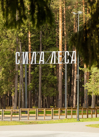 Парк «Сила леса»
