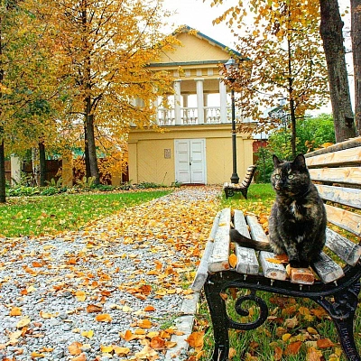 Осень_2_фото_42088