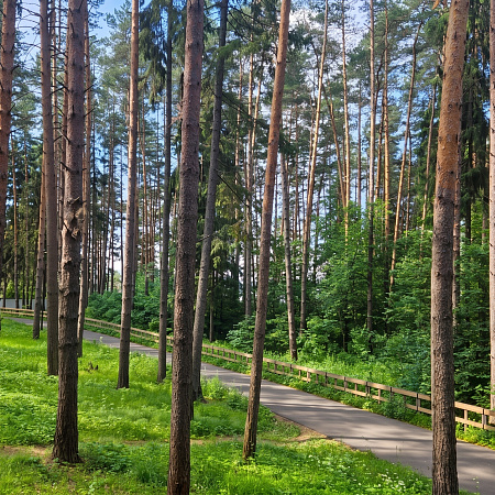 Фото_4 галереи gallery_4421444210