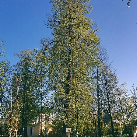 Фото_3 галереи gallery_4394343944